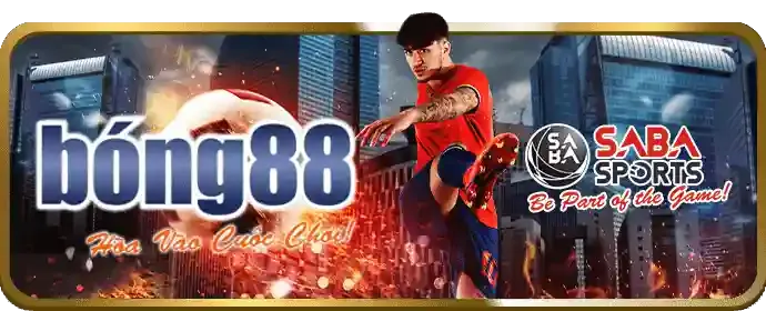 Phần câu hỏi thường gặp về FB8BET